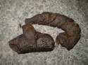 640px-Dog_feces.jpg