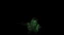 Zombie worm infest.webm
