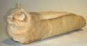 Catbaguette.jpg