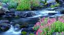 landscapes_nature_paradise_waterfalls_National_Park_Washington_Mount_Rainier_2560x1920.jpg