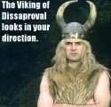 the viking of disapproval looks in your diredction.jpg