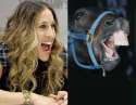 Sarah Jessica Parker.jpg