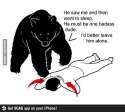 bear.jpg