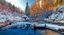 winter_river_stones_trees_nature_2560x1600.jpg