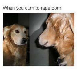 FB_IMG_1464164219922.jpg