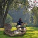 Baby Snake.jpg