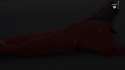 DelayedVerifiableBuck.webm