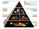 usda_food_pyramid-1408dcbc856700b6bdd9e4314e7a064e2e840436-s900-c85.jpg