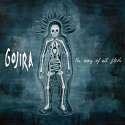 gojira-thewayofallflesh.jpg