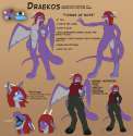 1362702571.draekos_draekosrefsheet.png