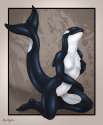 1370288260.redraptor16_orca_female.jpg
