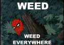 spiderman huume.jpg