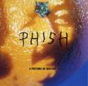 Phish-A-Picture-of-Nectar-Elektr-1.jpg