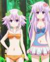 Nep doesn't approve.jpg