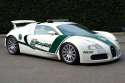 bugatti-veyron-police-car-image-dubai-police_100427824_l.jpg