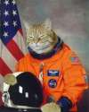 space cat.jpg