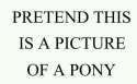 pony picture.jpg