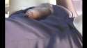 1454215502079.webm