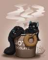coffee kitty.jpg