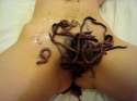 worm pussy.jpg