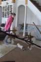 10-10-9.webm