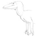 megaraptorid.png