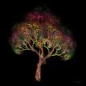 apo3d_120827_91_tree32_2000_by_serpentdance-d5v8d7e.png