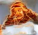 stalin as spaghettis.jpg