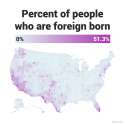 over-half-of-the-population-is-foreign-born-in-som-1439882302.44-5109610.png