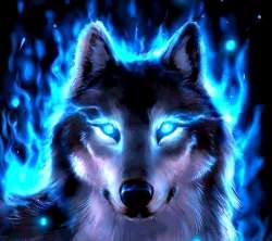 wolf----------------wallpaper-10488816.jpg