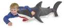 shark saves boy from dolphin rapists.jpg