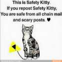 safety kitty.jpg