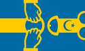 the_true_flag_of_sweden_by_anarchomania-d96tza6.png