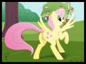 729990 - Fluttershy Friendship_is_Magic My_Little_Pony.jpg