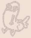 only2genders.png