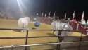 1467568553342.webm