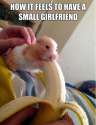Nom-nom-nom.jpg