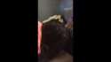 My Movie (3).webm