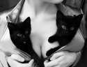 cats tits.jpg