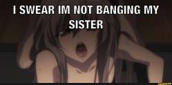 i swear.jpg