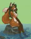 fox takes a bath.jpg