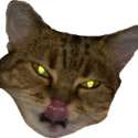 ^D904C1601FA60A5402D82C115B0F31AB0059F0A3972F39FC10^pimgpsh_thumbnail_win_distr.jpg