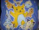 47264996c988349cbfd84d1ff628dac5-pokemon-knockoff-blanket.jpg