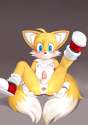 1868404 - Sonic_Team Tails.jpg