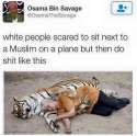 1468592031652.jpg