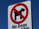 no-dogs-allowed.jpg