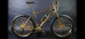 Misty's bike.jpg