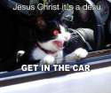 Jesus_christ_it's_a_desu_get_in_the_car.jpg
