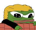 Pepe Trumps side of the wall.jpg