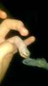 IMAG0396.jpg